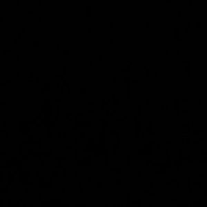 Meet your Posher, Raeesa